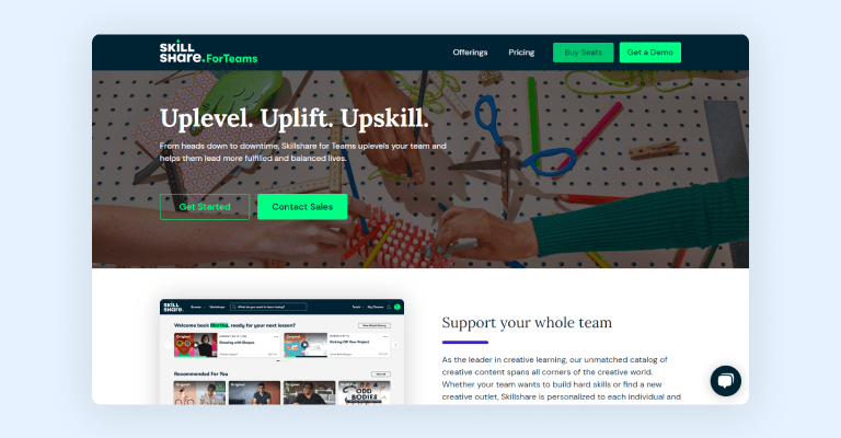 Skillshare for teams