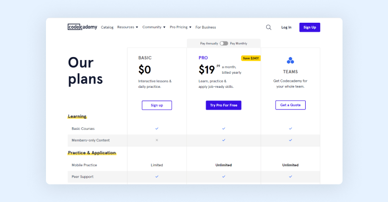 Codecademy pricing